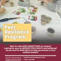 poster of peer resilience program
