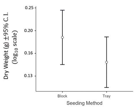Seedling plugs vs. soil blocks