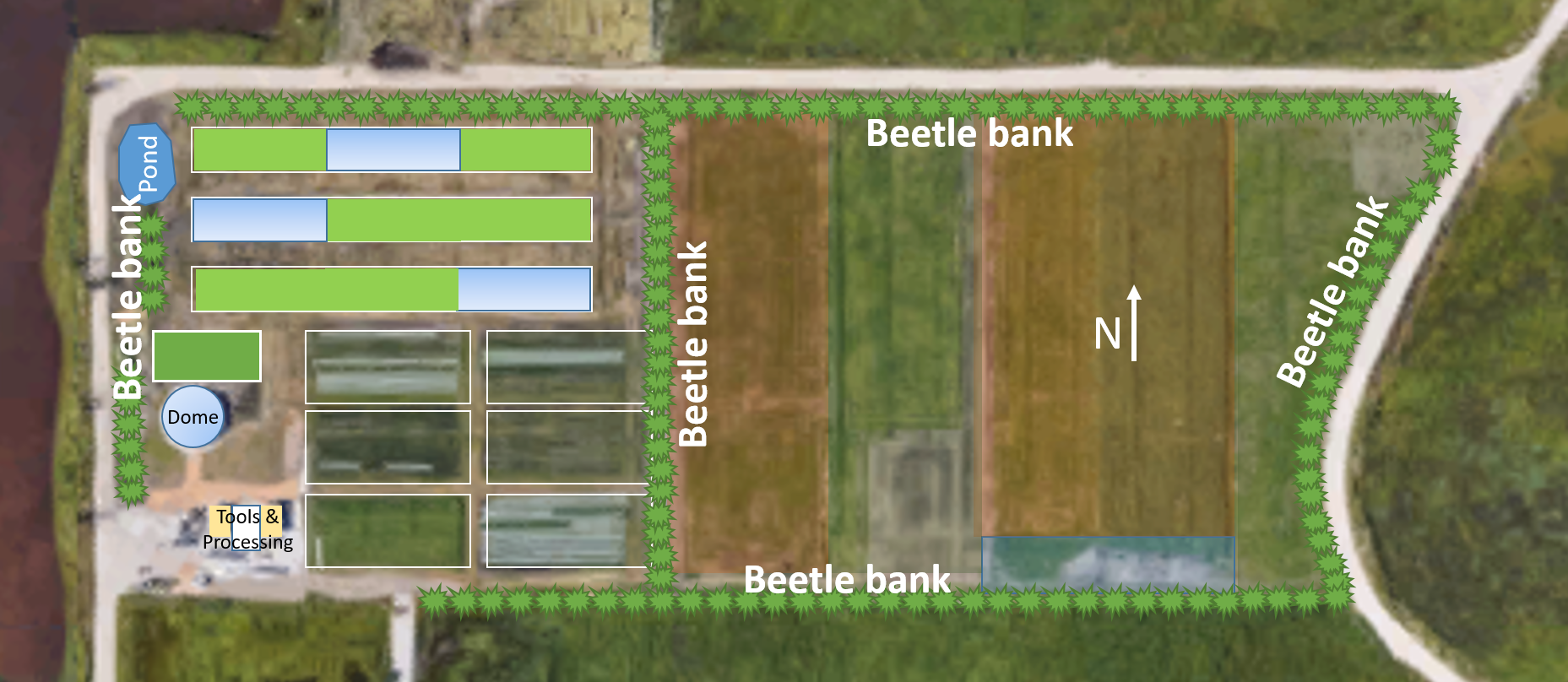 Beetle bank map