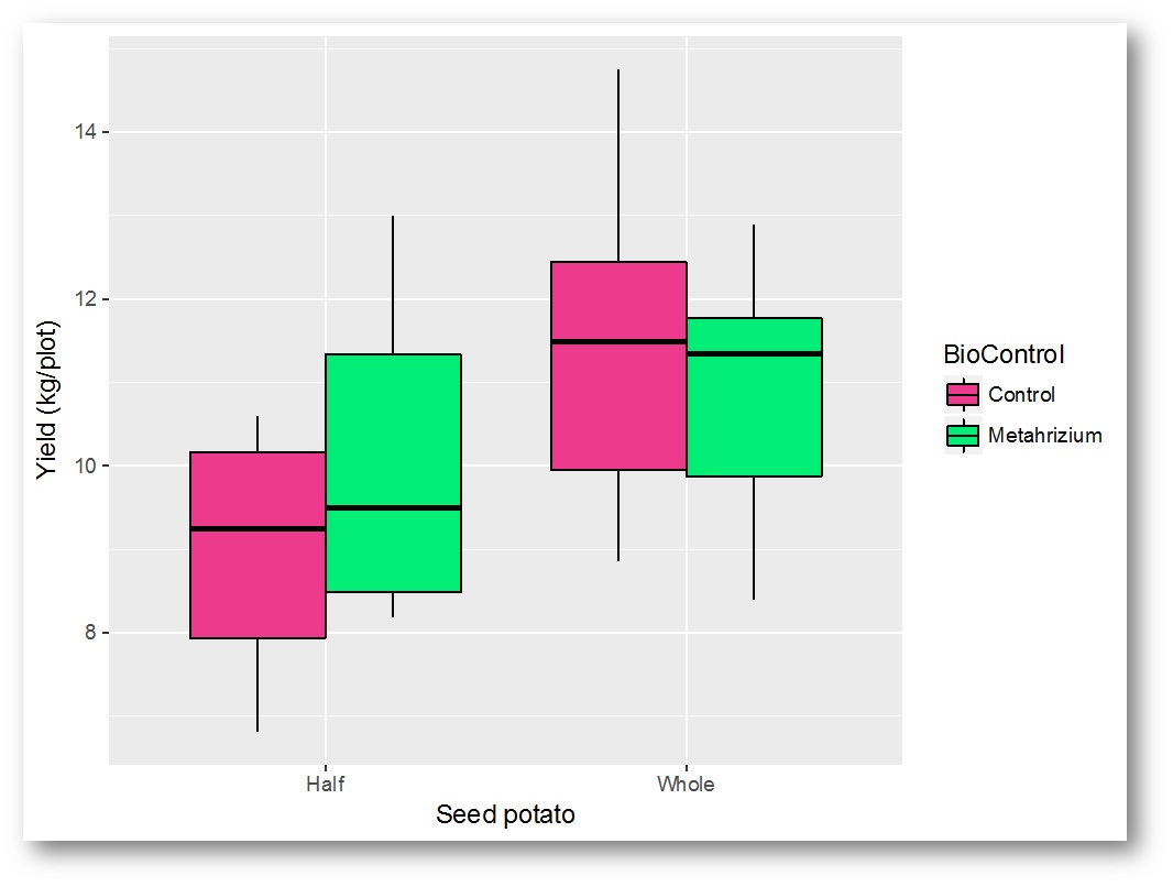 Fig 1. Yield of potatoes according to seed potato type and biocontrol.