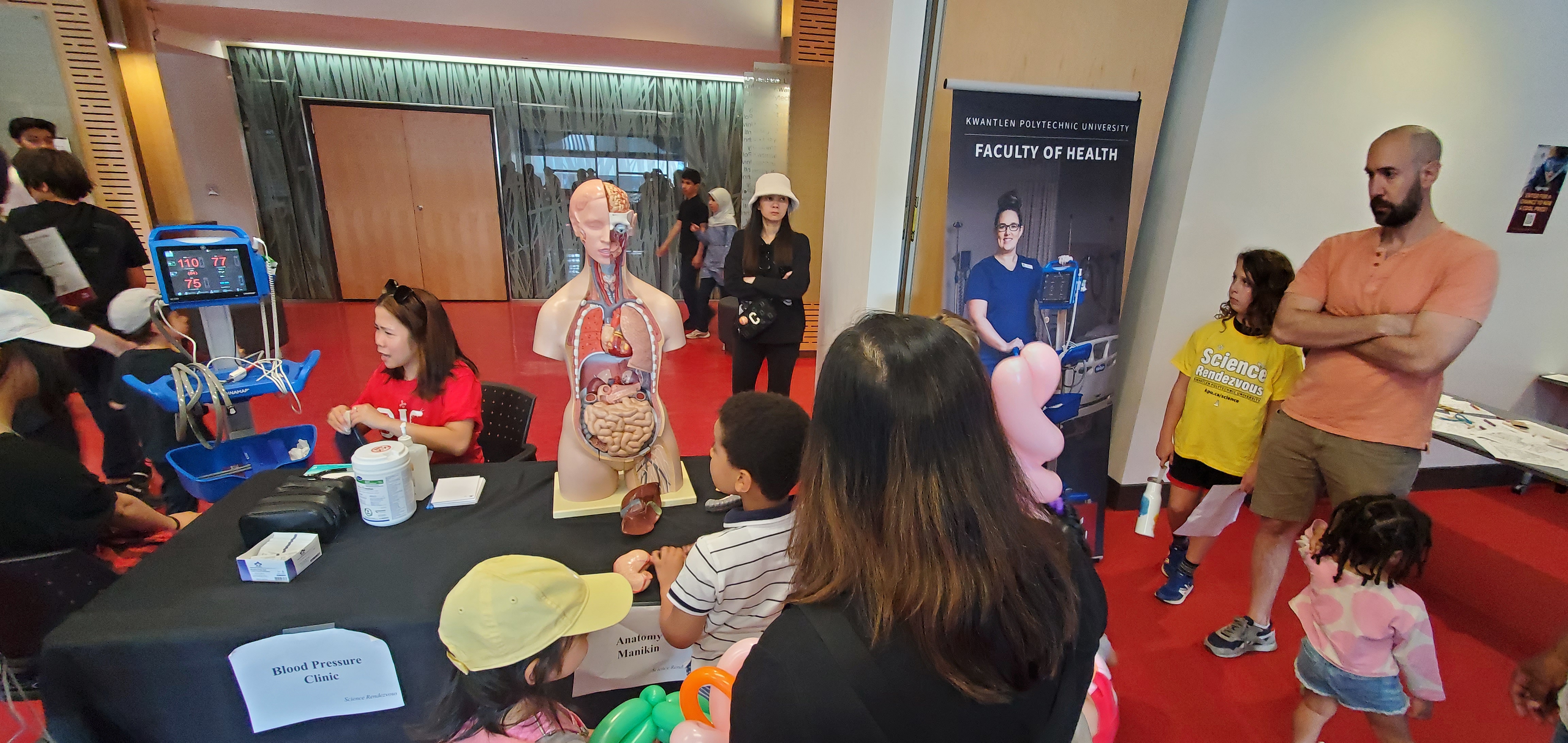 A Faculty of Health display including a blood pressure clinic and human anatomy manakin