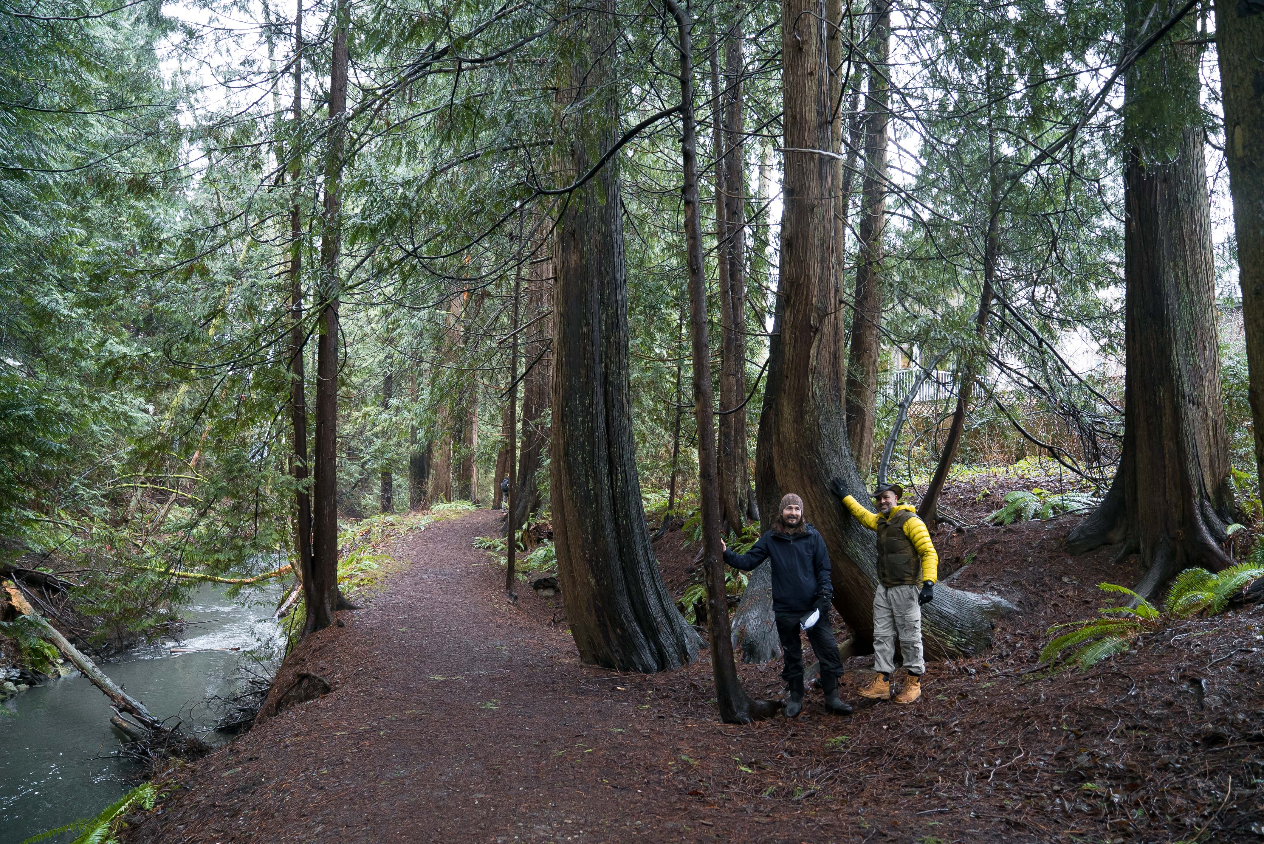 Image of Cougar Creek with two individuals posed beside trees