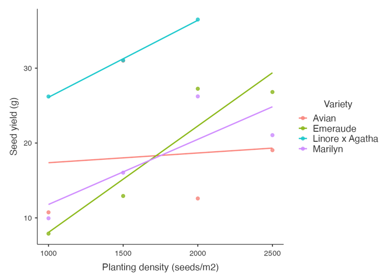 Flax seed yield by seeding rate