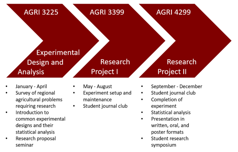 Research Progression