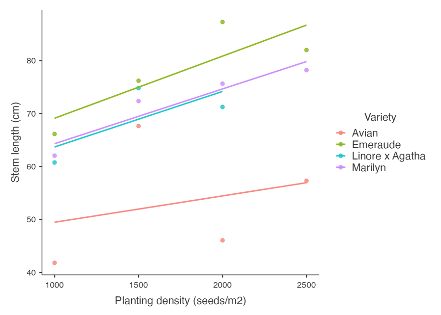 Flax stem length by planting density