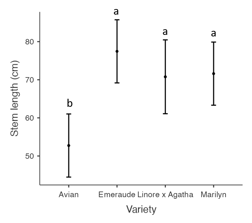 Flax stem length by variety