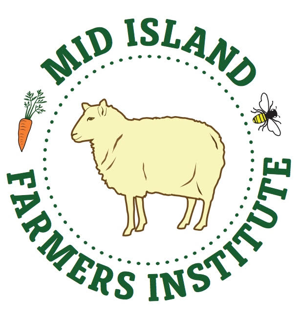 MIFI logo