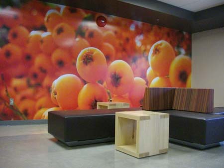 Surrey Birch Cafeteria