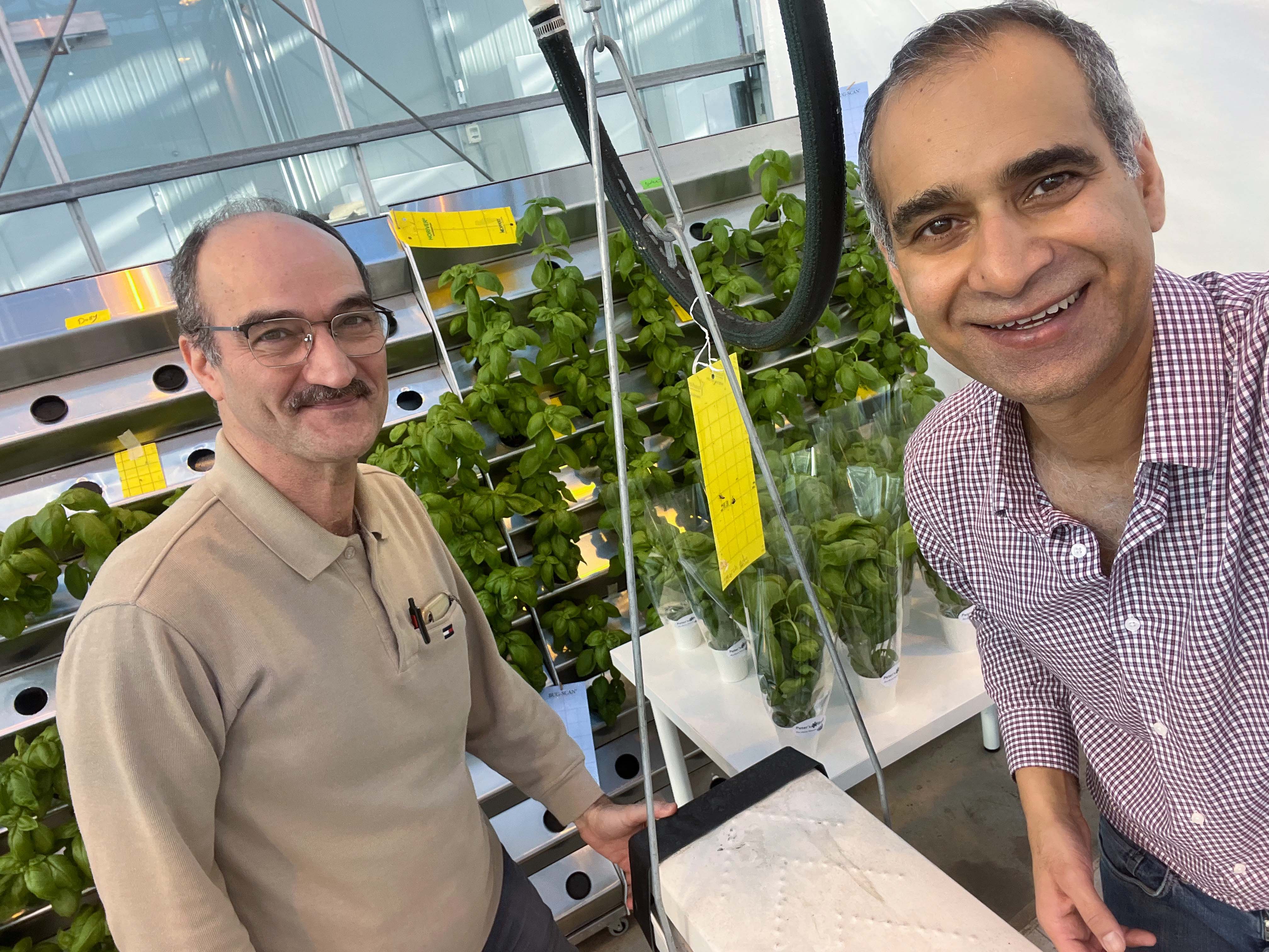 Mohammad Ameri, ISH Research Assistant, and Peter Atwal, president of Aeroroot, inside the research greenhouses at KPU. 