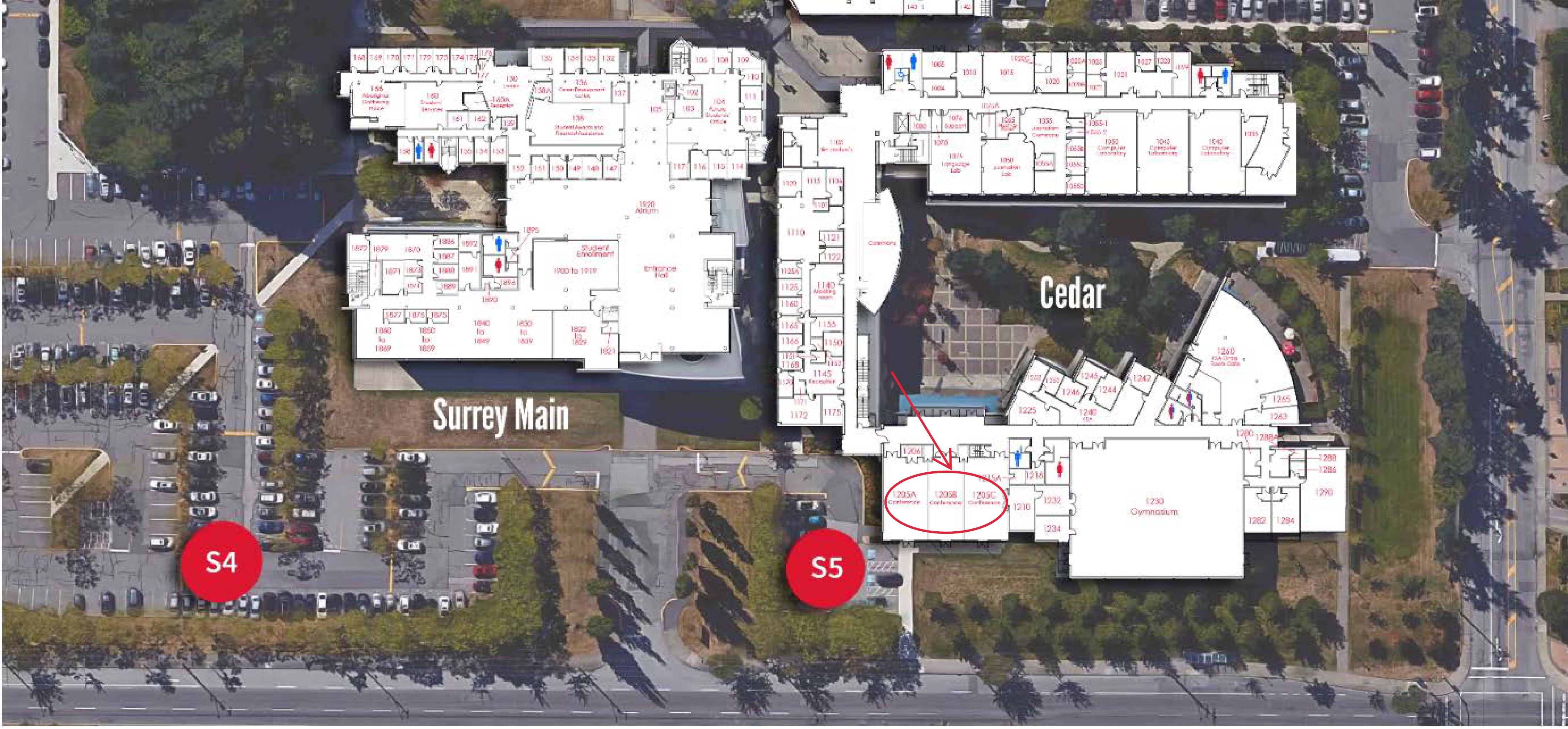 Surrey Cedar Maps 