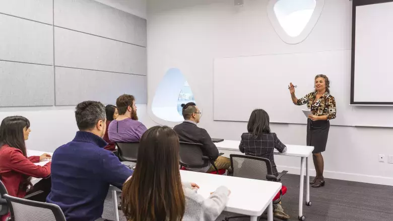 Lecturer teaching class