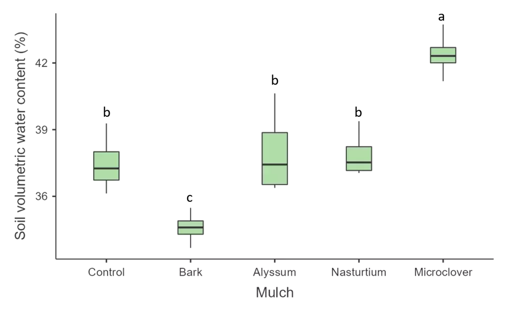 Soil moisture by mulch