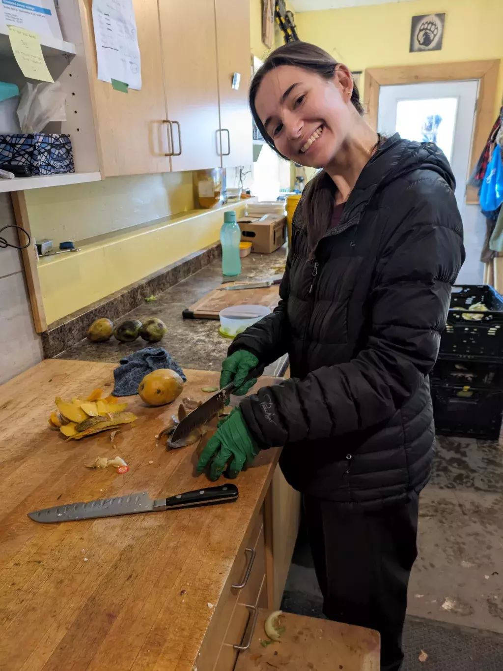 KPU graduate Mackenzie Kurta preparing food for rescue bears at the Northern Lights Wildlife Society.