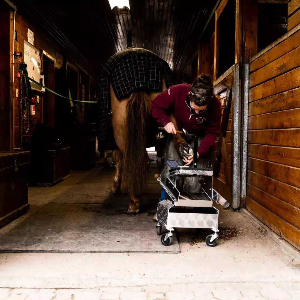 Kwantlen Polytechnic University has launched its newly redesigned farrier program.