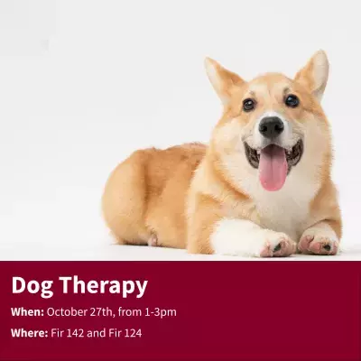 Fall 2023- Dog Therapy Social Media