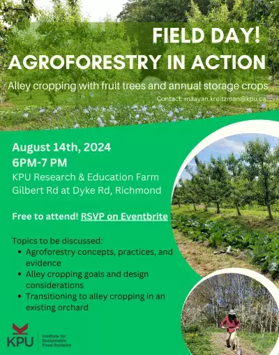 Alley cropping field day Aug 2024