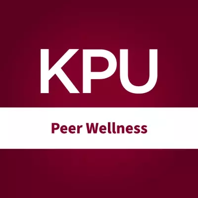 Peer Wellness Program